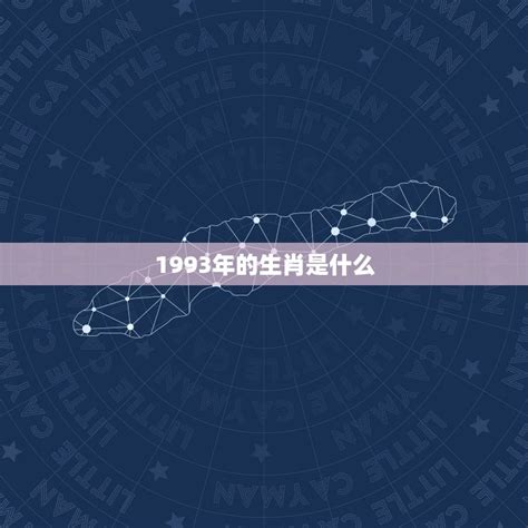 1993五行|1993是什么命五行属性